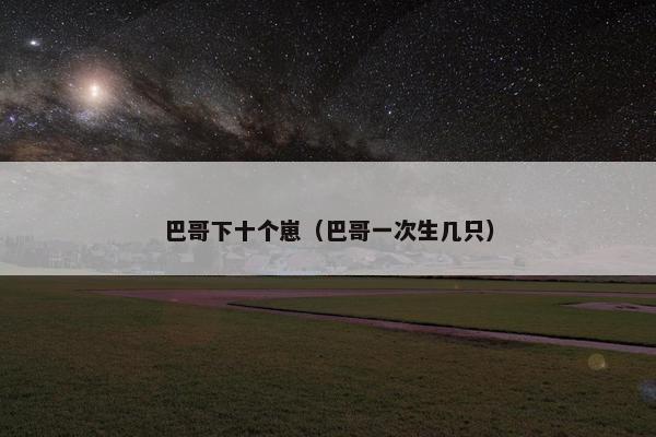 巴哥下十个崽(巴哥一次生几只) 巴哥下十个崽(巴哥一次生几只)