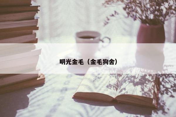 明光金毛（金毛狗舍）