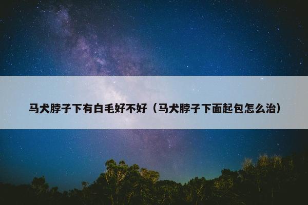 马犬脖子下有白毛好不好（马犬脖子下面起包怎么治）