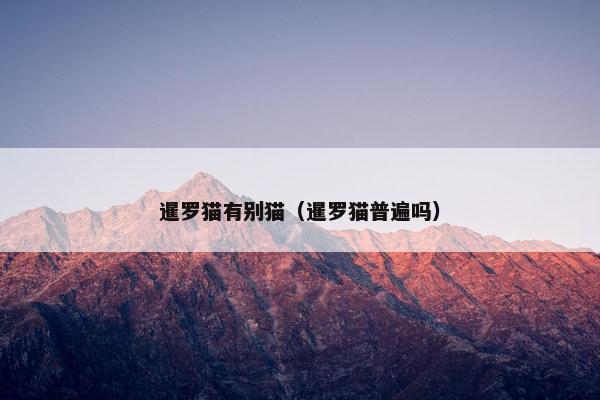 暹罗猫有别猫（暹罗猫普遍吗）