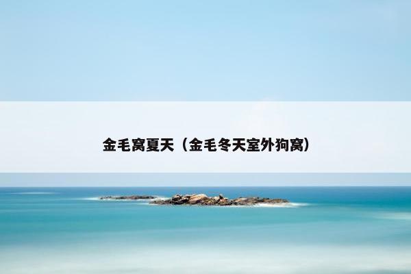 金毛窝夏天（金毛冬天室外狗窝）