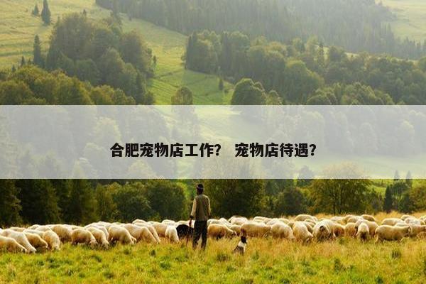 合肥宠物店工作？ 宠物店待遇？