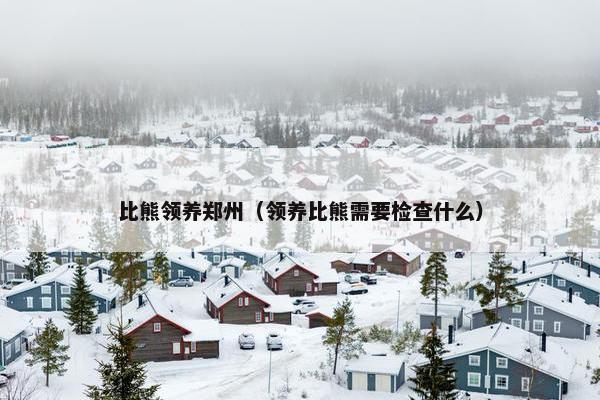 比熊领养郑州（领养比熊需要检查什么）