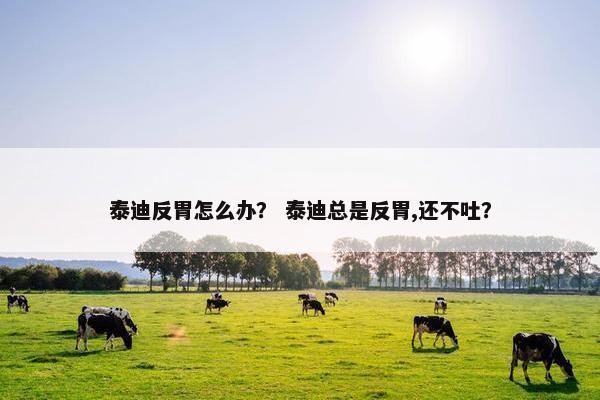 泰迪反胃怎么办？ 泰迪总是反胃,还不吐？