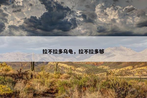 拉不拉多乌龟，拉不拉多够