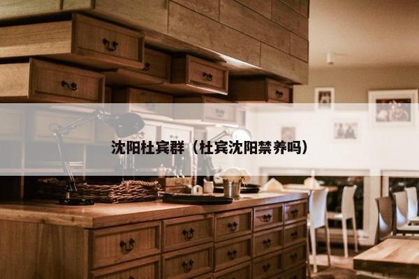 沈阳杜宾群（杜宾沈阳禁养吗）