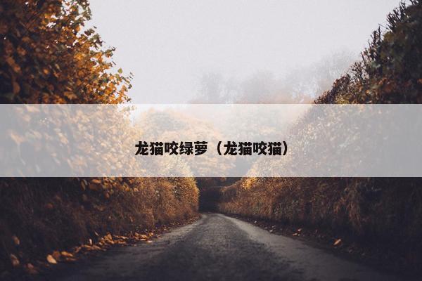 龙猫咬绿萝（龙猫咬猫）