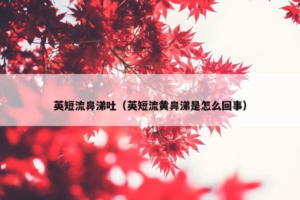 英短流鼻涕吐（英短流黄鼻涕是怎么回事）