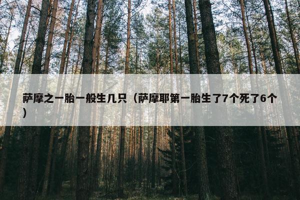 萨摩之一胎一般生几只（萨摩耶第一胎生了7个死了6个）