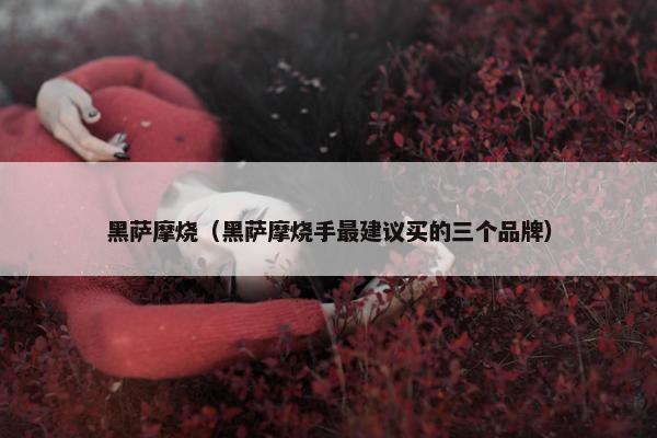 黑萨摩烧（黑萨摩烧手最建议买的三个品牌）