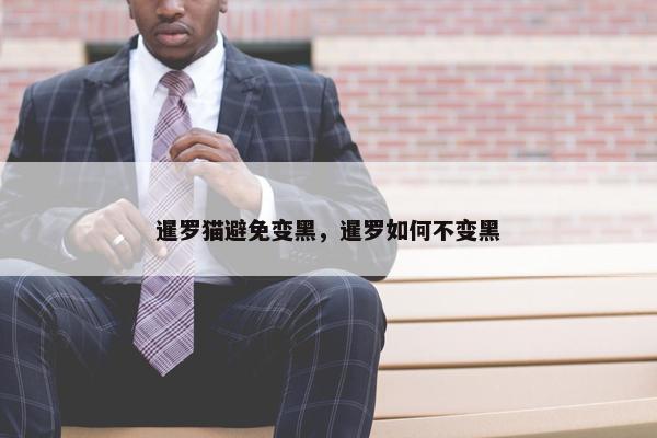 暹罗猫避免变黑，暹罗如何不变黑