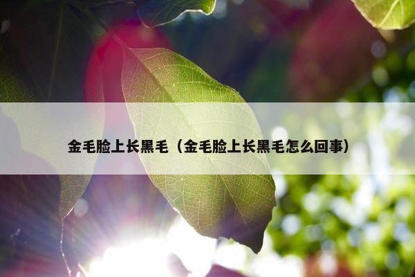 金毛脸上长黑毛（金毛脸上长黑毛怎么回事）