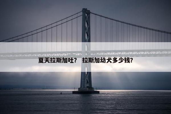 夏天拉斯加吐？ 拉斯加幼犬多少钱？
