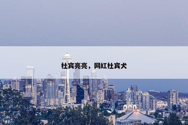 杜宾亮亮，网红杜宾犬
