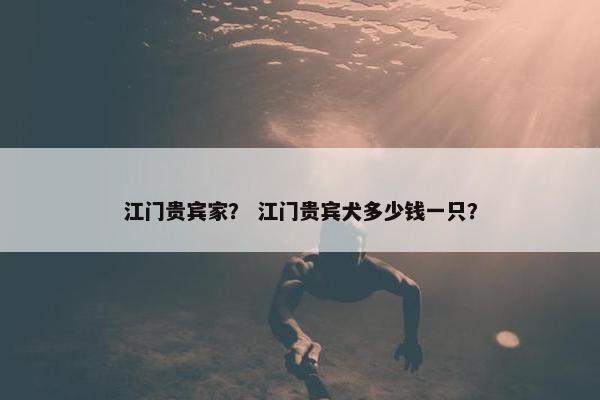 江门贵宾家？ 江门贵宾犬多少钱一只？