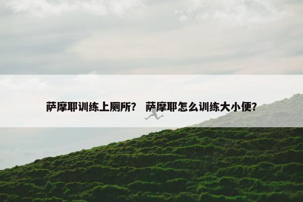 萨摩耶训练上厕所？ 萨摩耶怎么训练大小便？