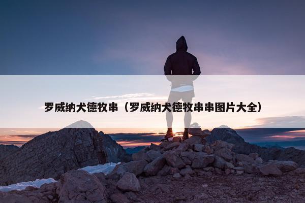 罗威纳犬德牧串（罗威纳犬德牧串串图片大全）