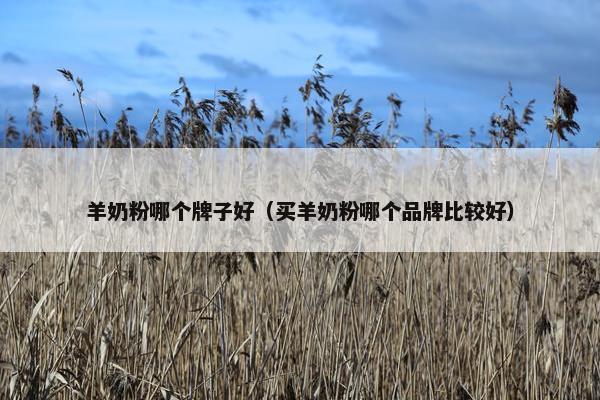 羊奶粉哪个牌子好（买羊奶粉哪个品牌比较好）