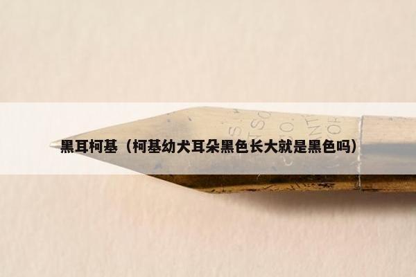 黑耳柯基（柯基幼犬耳朵黑色长大就是黑色吗）