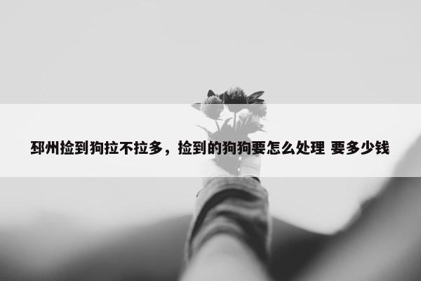 邳州捡到狗拉不拉多，捡到的狗狗要怎么处理 要多少钱