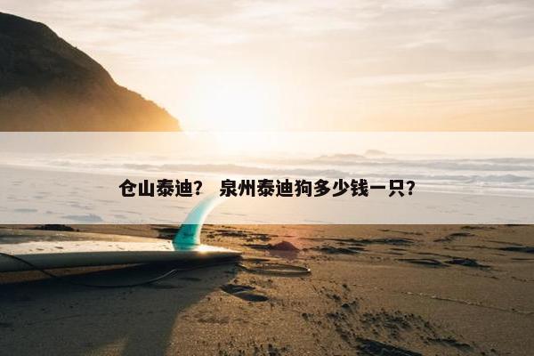 仓山泰迪？ 泉州泰迪狗多少钱一只？