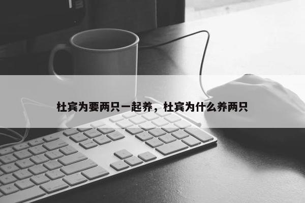 杜宾为要两只一起养，杜宾为什么养两只