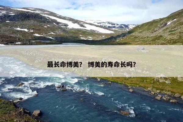 最长命博美？ 博美的寿命长吗？