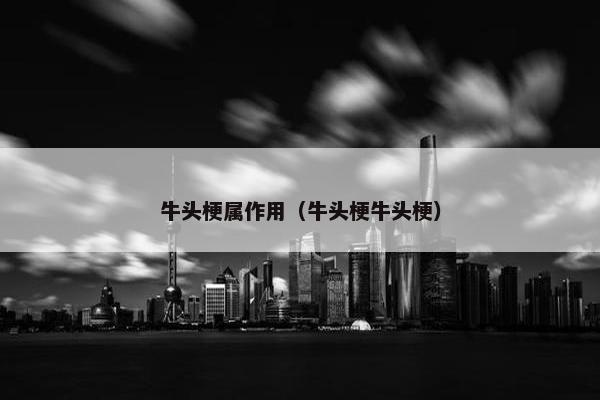 牛头梗属作用（牛头梗牛头梗）