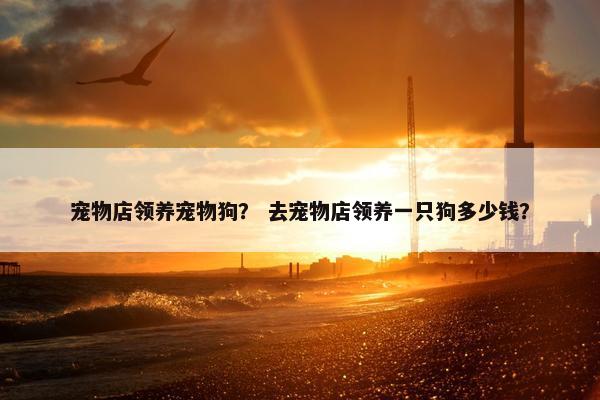 宠物店领养宠物狗？ 去宠物店领养一只狗多少钱？
