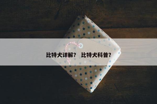 比特犬详解？ 比特犬科普？