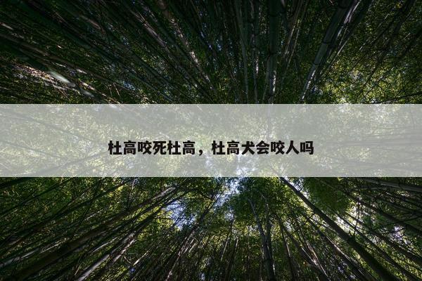 杜高咬死杜高，杜高犬会咬人吗