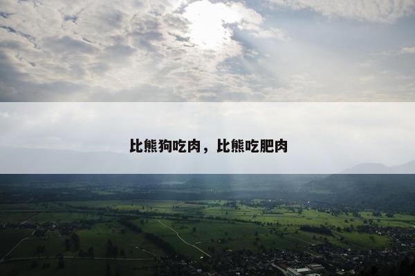 比熊狗吃肉，比熊吃肥肉