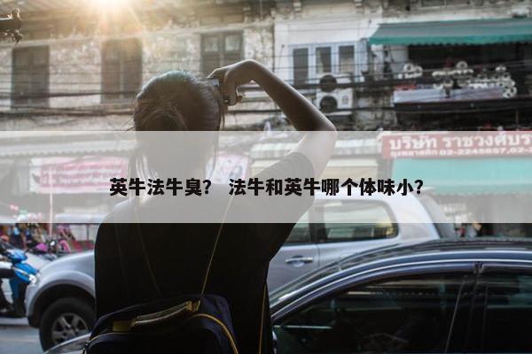 英牛法牛臭？ 法牛和英牛哪个体味小？