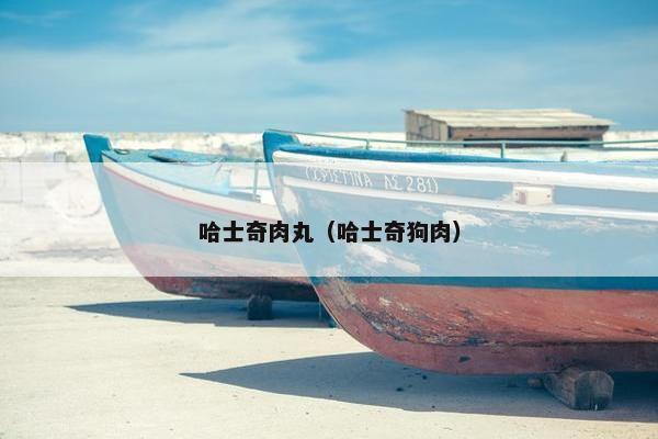 哈士奇肉丸（哈士奇狗肉）