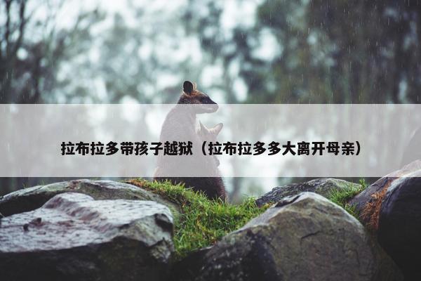 拉布拉多带孩子越狱（拉布拉多多大离开母亲）