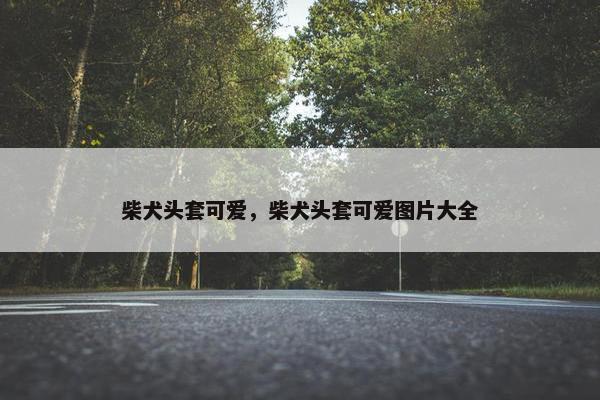 柴犬头套可爱，柴犬头套可爱图片大全
