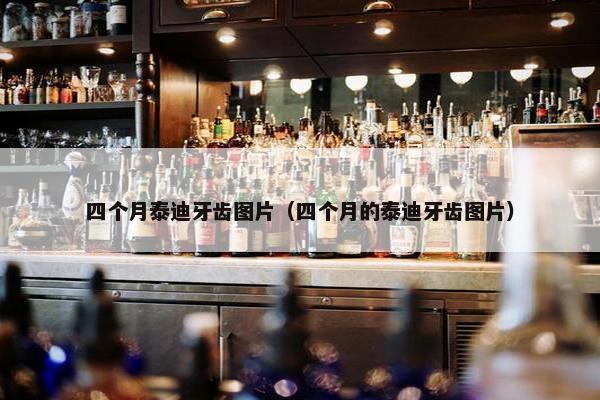 四个月泰迪牙齿图片（四个月的泰迪牙齿图片）