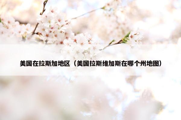 美国在拉斯加地区（美国拉斯维加斯在哪个州地图）