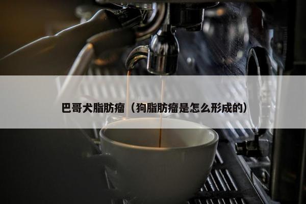 巴哥犬脂肪瘤（狗脂肪瘤是怎么形成的）