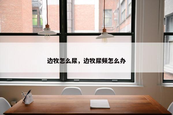 边牧怎么尿，边牧尿频怎么办