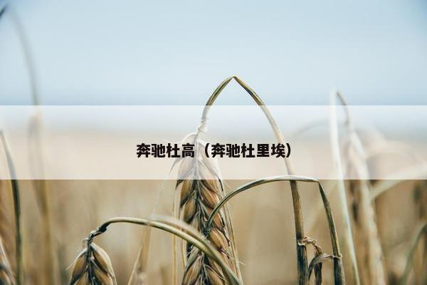 奔驰杜高（奔驰杜里埃）