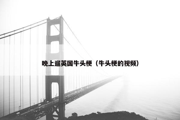 晚上遛英国牛头梗（牛头梗的视频）