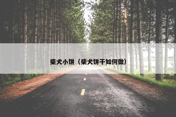 柴犬小饼（柴犬饼干如何做）