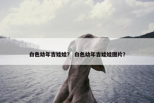 白色幼年吉娃娃？ 白色幼年吉娃娃图片？