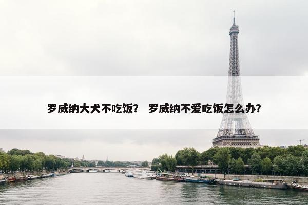 罗威纳大犬不吃饭？ 罗威纳不爱吃饭怎么办？