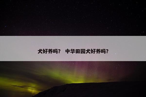 犬好养吗？ 中华田园犬好养吗？