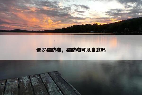 暹罗猫脐疝，猫脐疝可以自愈吗