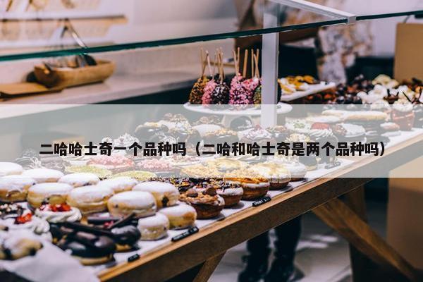二哈哈士奇一个品种吗（二哈和哈士奇是两个品种吗）
