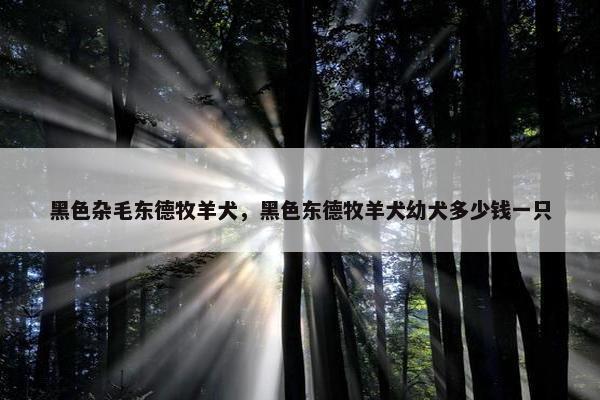 黑色杂毛东德牧羊犬，黑色东德牧羊犬幼犬多少钱一只