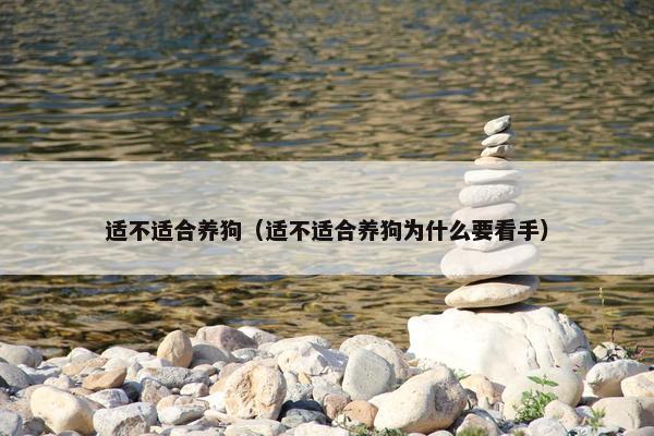 适不适合养狗（适不适合养狗为什么要看手）